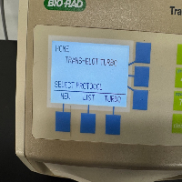 Bio-Rad Trans-Blot Turbo Transfer System image 2